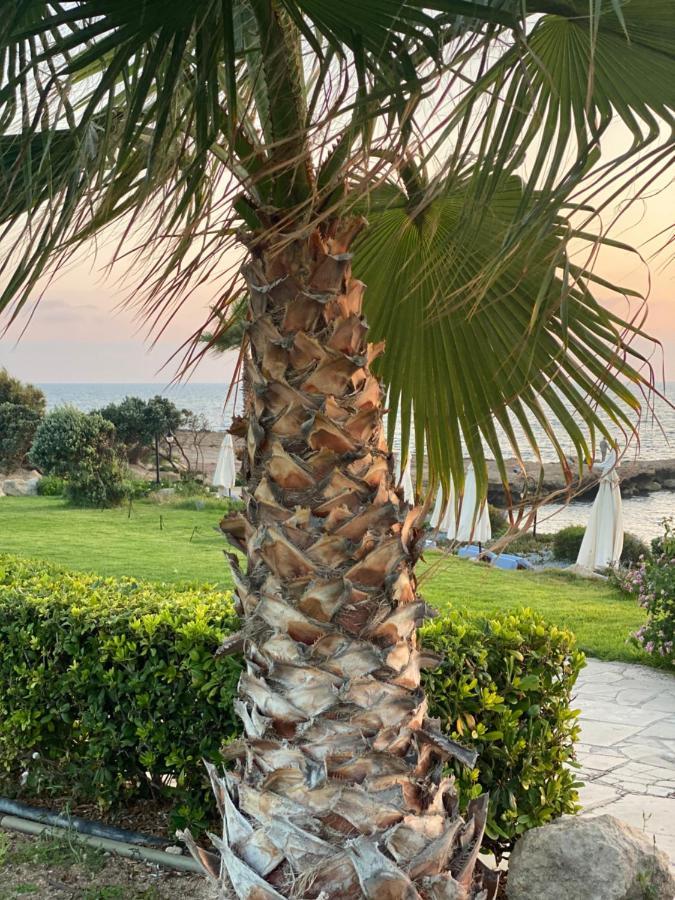 Royal Seacrest F G5 Ground Floor Apartment Paphos ภายนอก รูปภาพ